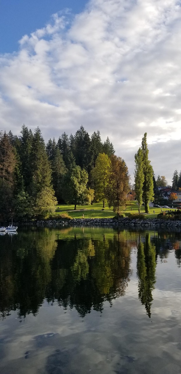 Green sustainable transport image