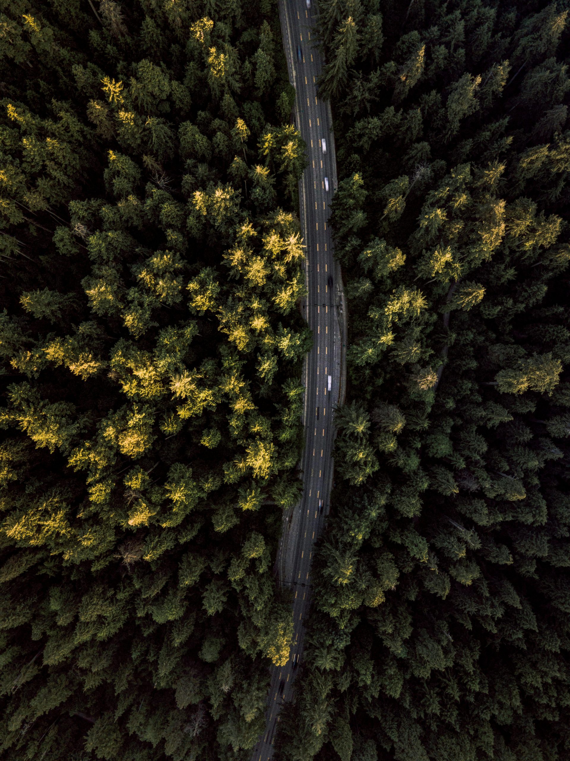 Optimised logistics routing image