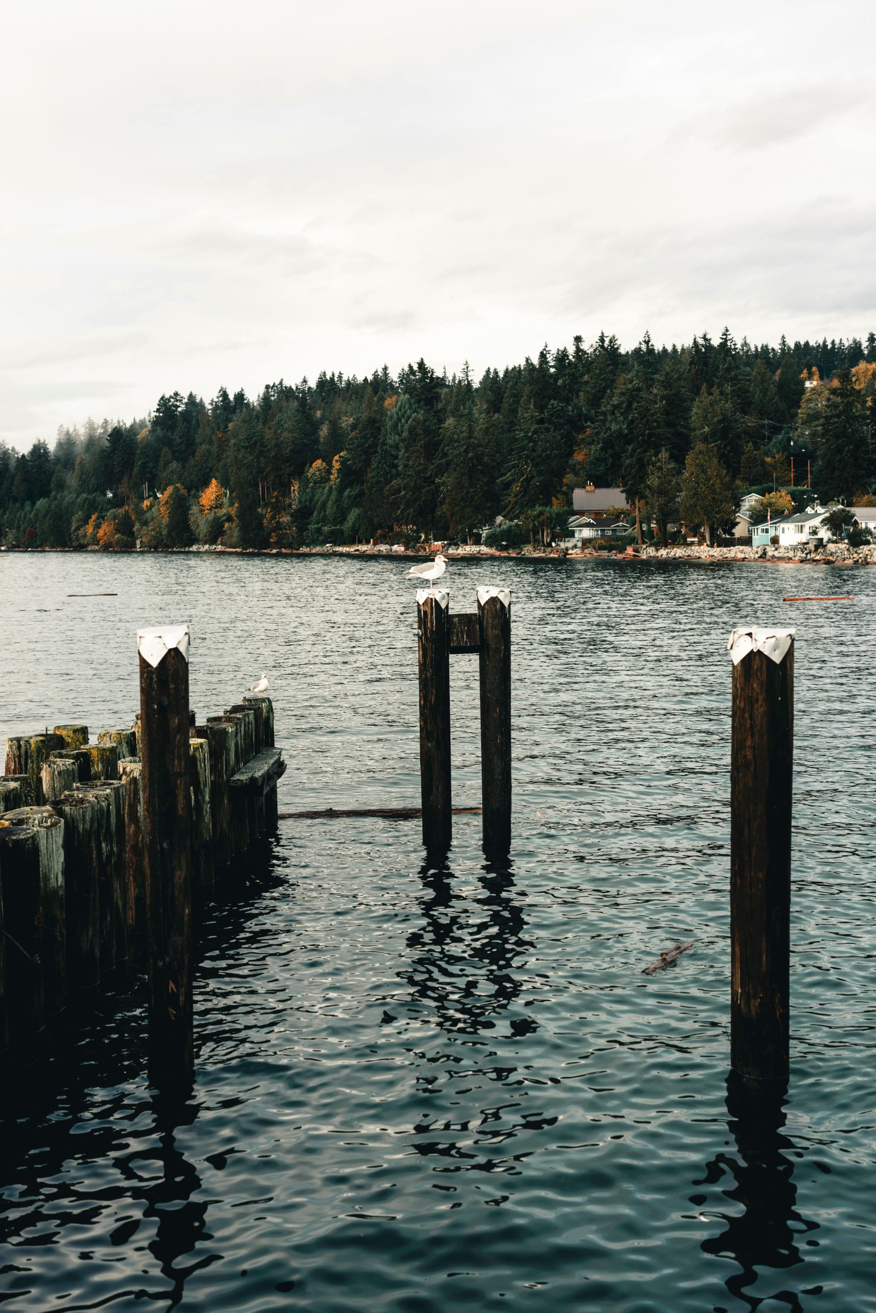 Courier and delivery services in Gibsons BC